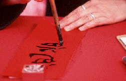 Contact, Travel Writer, Photographer