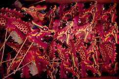 Slide Show of Images